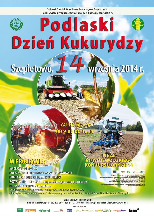 plakat kukurydza