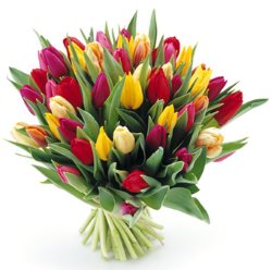 dskconsulting.pl tulipany bukiet