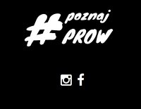 prow