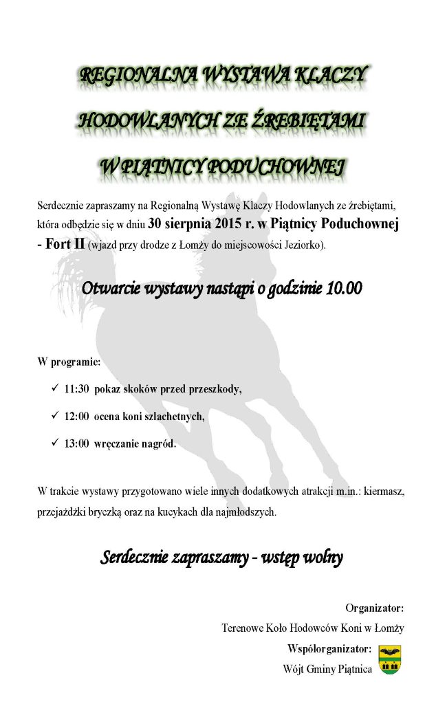 wystawa koni