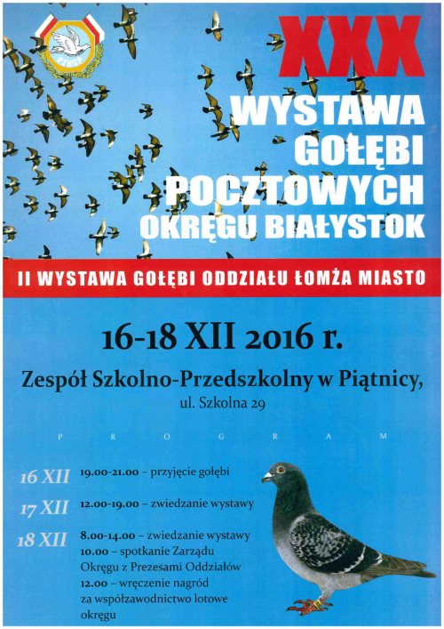plakat wystawa gołębi