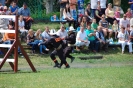 Zawody Pożarnicze 2013