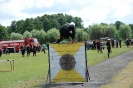 Zawody Pożarnicze 2013