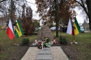 11.11.2016 r._21