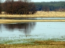 Przyroda