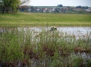 Przyroda