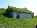 Przyroda