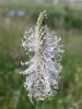 Przyroda