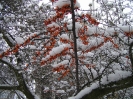 Przyroda
