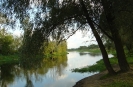 Przyroda