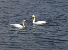Przyroda