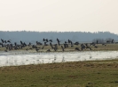 Przyroda