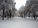 Przyroda