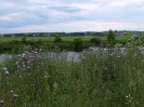 Przyroda