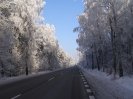 Przyroda