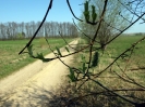 Przyroda