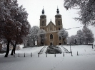 Przyroda