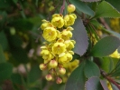Przyroda