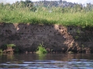 Przyroda