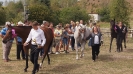 Regionalna Wystawa Klaczy Hodowlanych_11