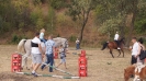 Regionalna Wystawa Klaczy Hodowlanych_17