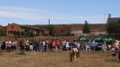 Regionalna Wystawa Klaczy Hodowlanych_18