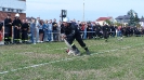 VIII Powiatowe Zawody Sportowo - Pożarnicze_7