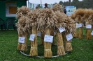 Dożynki 2010