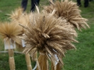 Dożynki 2010