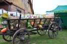Dożynki 2010