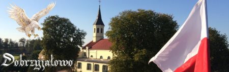 Strona internetowa mieszkańców Dobrzyjałowa