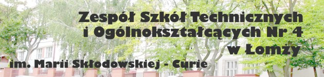 logo zsztio nr 4