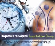 baner Bogactwo rozwiązań - kapitałem firmy