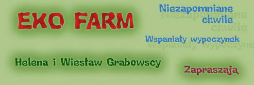 EKOFARM logo strony internetowej