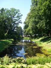 Park dworski w Drozdowie