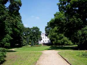 Park dworski w Drozdowie