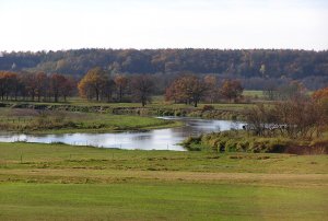 Obrazek: Narew w okolicach Rakowa (gm. Piątnica)