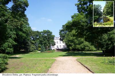Drozkowo park dworski