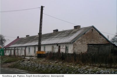 Kisielnica - dziewięciorak